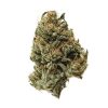 Bruce Banner Hybrid Marijuana